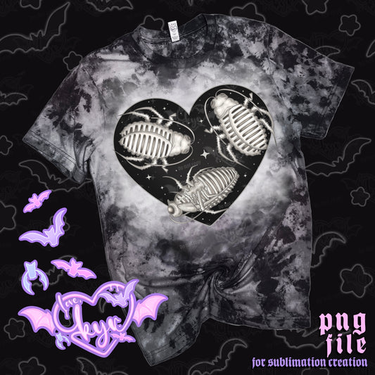 Cackroach Skeleton Sub File PNG